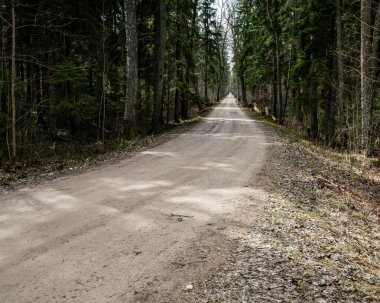 doğal ve güzel turizm asdfhlsq ormanda