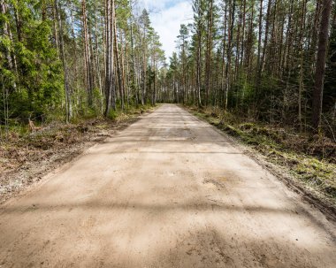 doğal ve güzel turizm asdfhlsq ormanda