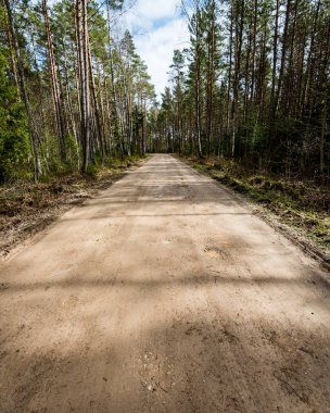 doğal ve güzel turizm asdfhlsq ormanda
