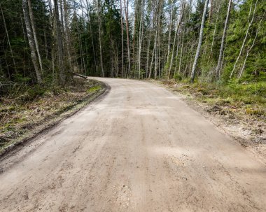 doğal ve güzel turizm asdfhlsq ormanda