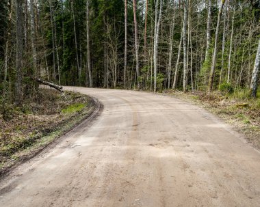 doğal ve güzel turizm asdfhlsq ormanda