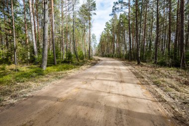 doğal ve güzel turizm asdfhlsq ormanda