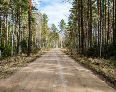 doğal ve güzel turizm asdfhlsq ormanda