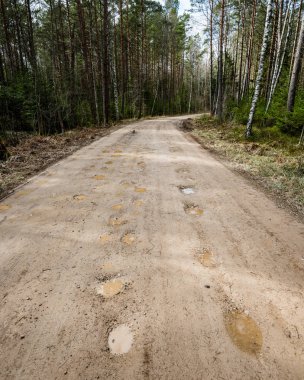 doğal ve güzel turizm asdfhlsq ormanda