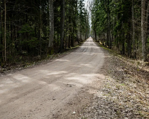 doğal ve güzel turizm asdfhlsq ormanda