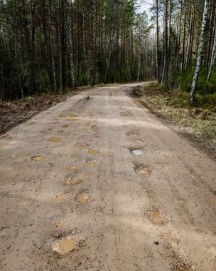 doğal ve güzel turizm asdfhlsq ormanda