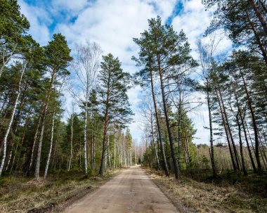 doğal ve güzel turizm asdfhlsq ormanda