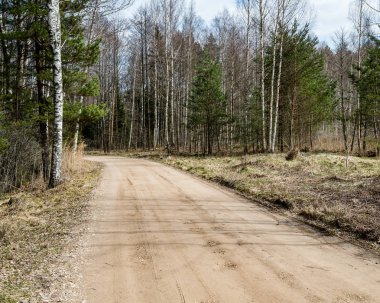 doğal ve güzel turizm asdfhlsq ormanda