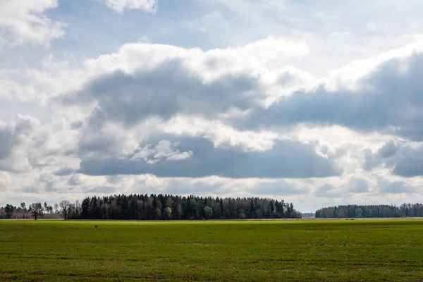 Поля в стране под голубым небом с белыми облаками — стоковое фото