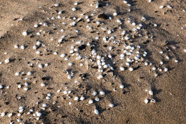 kum ve çakıl ile kayalık plaj 