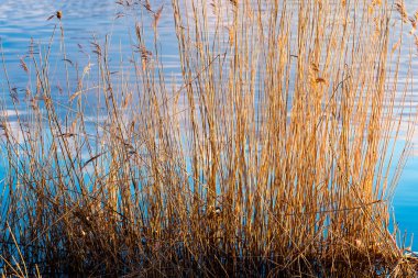 Sakin Nehri dramatik gündoğumu