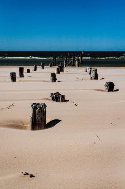 Sabahları bir kayalık sahil plaj görünümünü.
