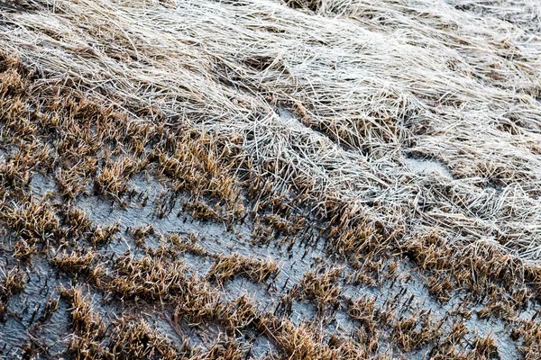 Rotsachtig strand met zand en kiezels — Stockfoto