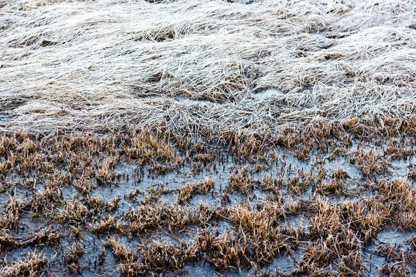 Rotsachtig strand met zand en kiezels — Stockfoto