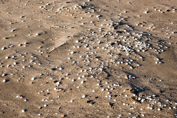 Sziklás strand, kavics és homok — Stock Fotó