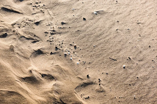 Skalnatá pláž s pískem a oblázky — Stock fotografie