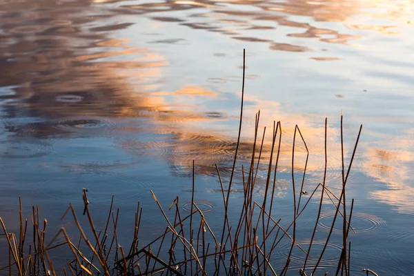 Драматический восход солнца над спокойной рекой — стоковое фото