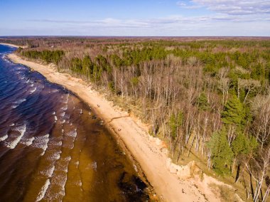 Drone görüntü. Baltık plaj alanı havadan görünümü