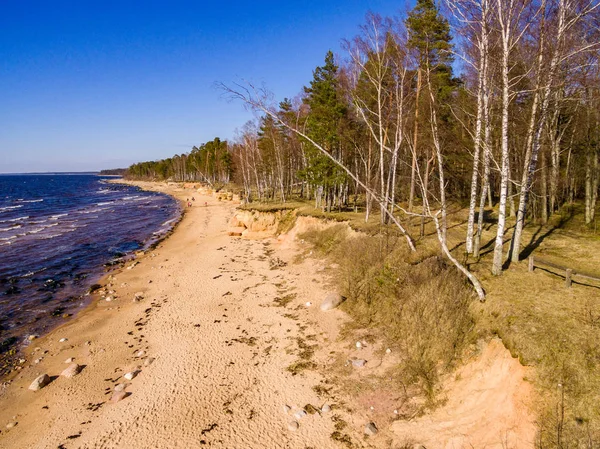Image de drone. vue aérienne de la plage baltique — Photo