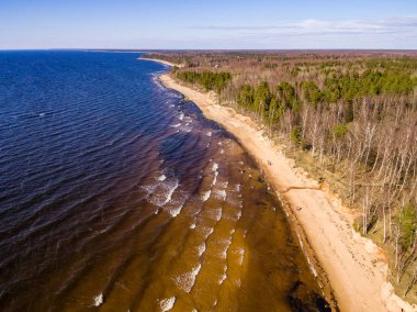 Drone görüntü. Baltık plaj alanı havadan görünümü