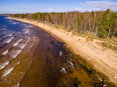 Drone görüntü. Baltık plaj alanı havadan görünümü