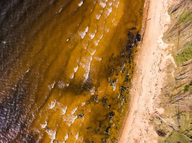Drone görüntü. Baltık plaj alanı havadan görünümü