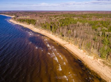 Drone görüntü. Baltık plaj alanı havadan görünümü
