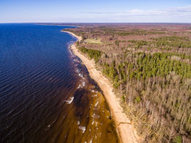 Drone görüntü. Baltık plaj alanı havadan görünümü
