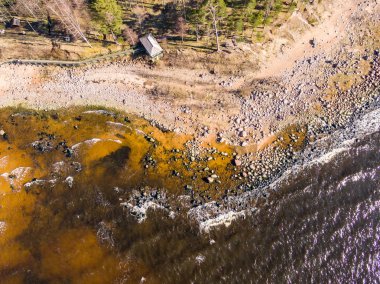 Drone görüntü. Baltık plaj alanı havadan görünümü