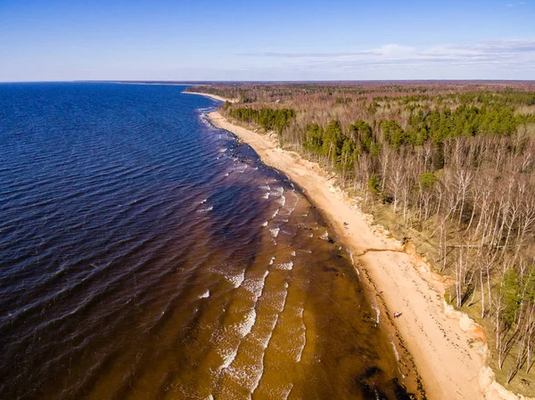 Drone görüntü. Baltık plaj alanı havadan görünümü