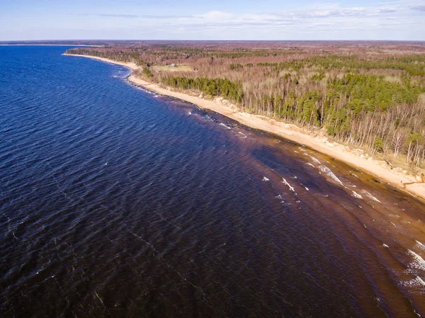 Drone görüntü. Baltık plaj alanı havadan görünümü