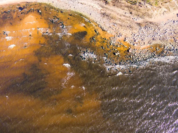 Drone obrazu. Widok z lotu ptaka strefy bałtyckiej plaży — Zdjęcie stockowe