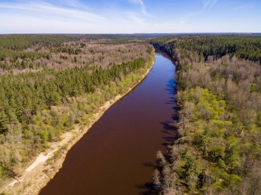 Drone görüntü. Gauja Nehri'nin havadan görünümü