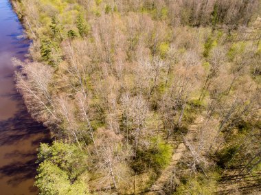 Drone görüntü. alanları ve ormanları ile kırsal bölgenin havadan görünümü