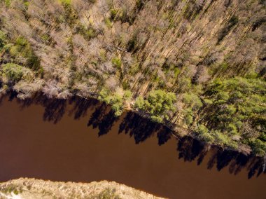 Drone görüntü. Gauja Nehri'nin havadan görünümü