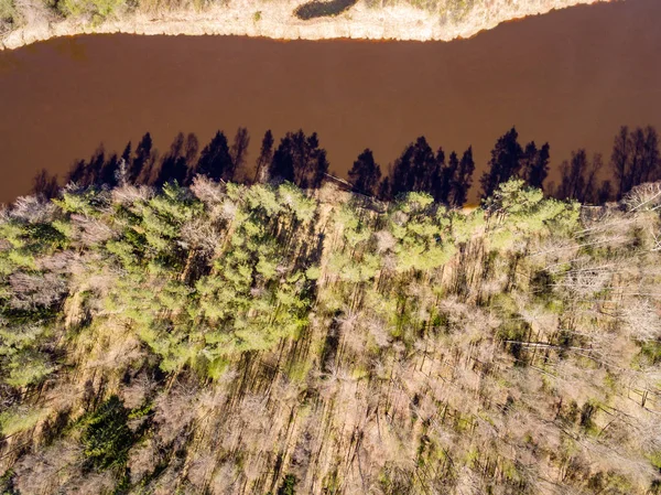 Drone зображення. вид з річкою Гауя — стокове фото