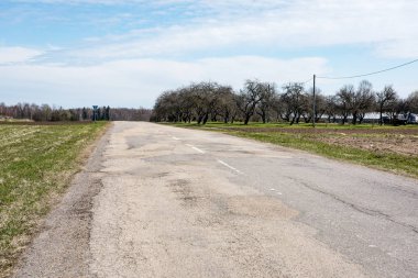 sabah güneş ışınları ile orman yolu