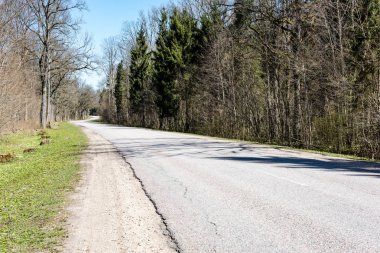 sabah güneş ışınları ile orman yolu