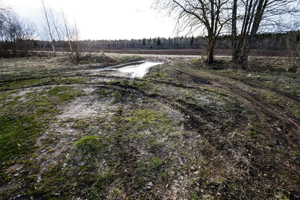 Carretera forestal con rayos de sol en la mañana — Foto de Stock