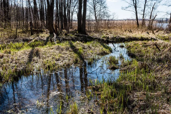 Natursköna våren färgade floden i landet — Stockfoto