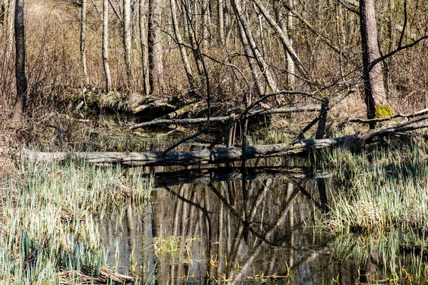 Kolorowe rzeka sceniczny wiosna w kraju — Zdjęcie stockowe