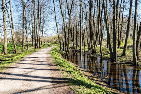 Carretera forestal con rayos de sol en la mañana — Foto de Stock