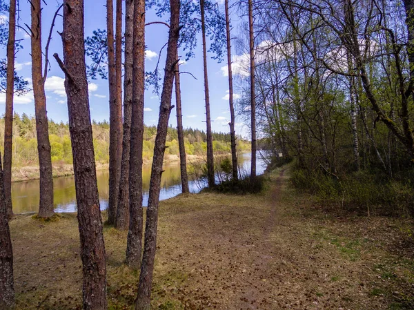 Drone görüntü. kırsal bölgenin havadan görünümü — Stok fotoğraf