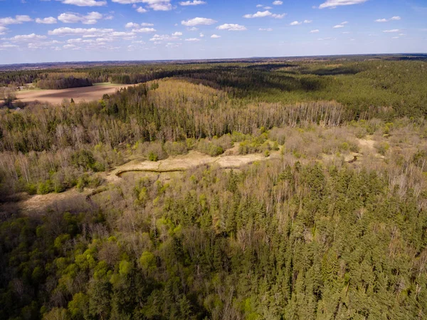 Drone image. aerial view of forest — Stock Photo, Image