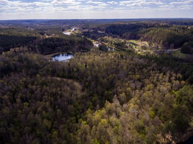 Drone görüntü. Ormanın havadan görünümü