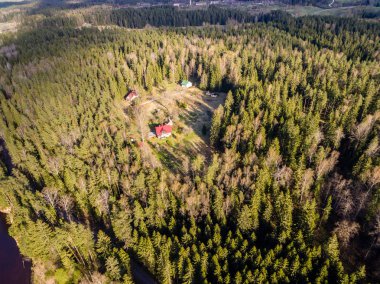 Drone görüntü. Ormanın havadan görünümü