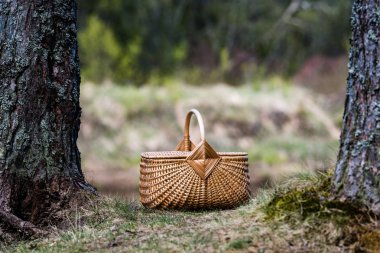 Orman nehir önünde ahşap dokuma sepeti