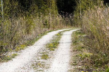 Çakıl köy yolunda