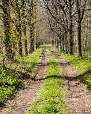 Çakıl köy yolunda