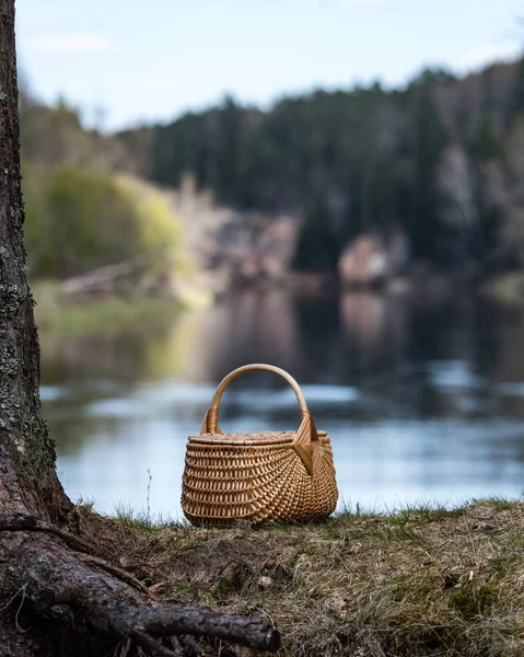 在森林河木编织的篮 — 图库照片